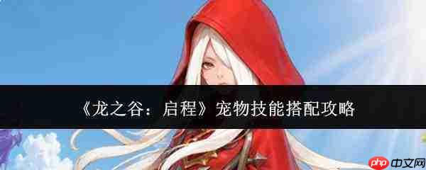 龙之谷启程:宠物技能搭配方法与攻略