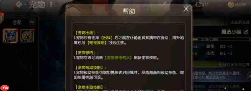 龙之谷启程:宠物技能搭配方法与攻略