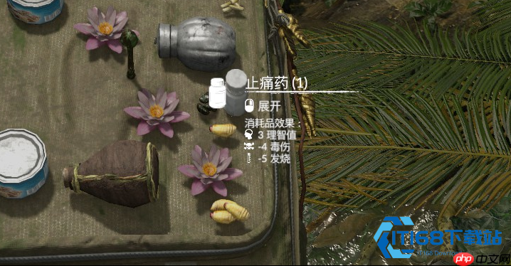 丛林生存退烧手册:温度计标志出现后的自救法则