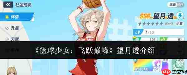 篮球少女勇攀巅峰,解析望月透其人其事