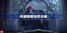鸣潮锁暝培养攻略-鸣潮锁暝声骸武器阵容推荐