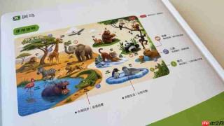 如何帮助孩子认识真实世界？斑马推出《全能启蒙认知大百科》