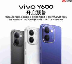 10000mAh超大电池！vivo Y600开启预售：1699元起