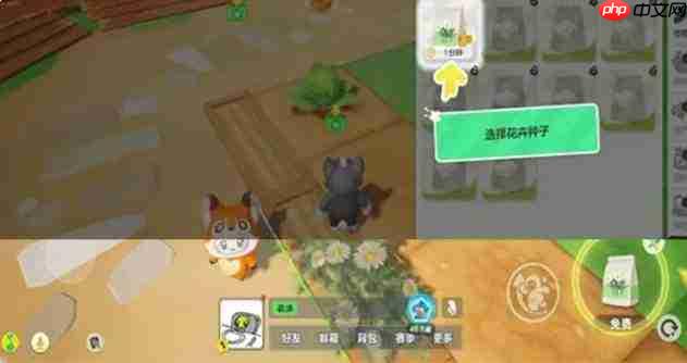 元梦之星繁花奇育玩法详解与介绍