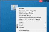 Adobe Bridge工作区如何自定义