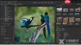 Adobe Bridge工作区如何自定义