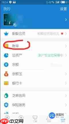 如何使用支付宝AI版查看理财和账单详细信息