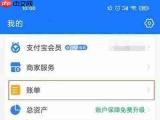 如何使用支付宝AI版查看理财和账单详细信息