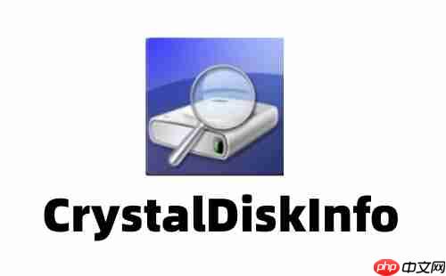 CrystalDiskInfo怎么设置中文？CrystalDiskInfo设置中文的方法