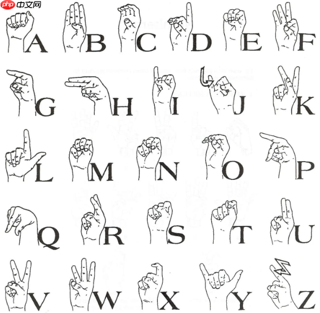 【掌上心语】PaddlePaddle 3.0实现29类智能手语识别助力残障人士 - php中文网