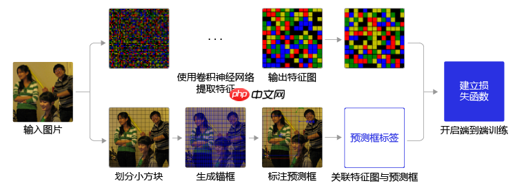 【AI达人特训营第三期】全球小麦麦穗检测 - php中文网