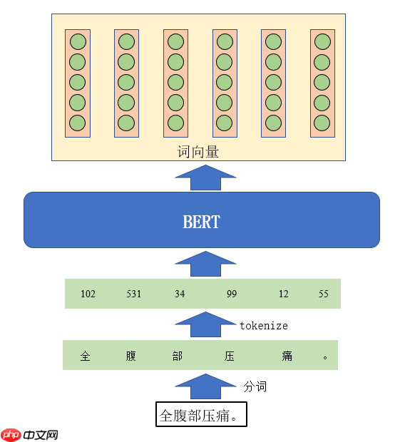中文电子病历命名实体识别 - php中文网