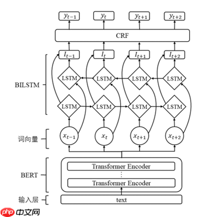 中文电子病历命名实体识别 - php中文网