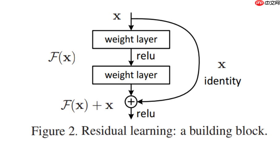 应用体验:肺炎CT图像识别(Grad-CAM) - php中文网