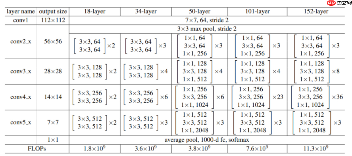 应用体验:肺炎CT图像识别(Grad-CAM) - php中文网