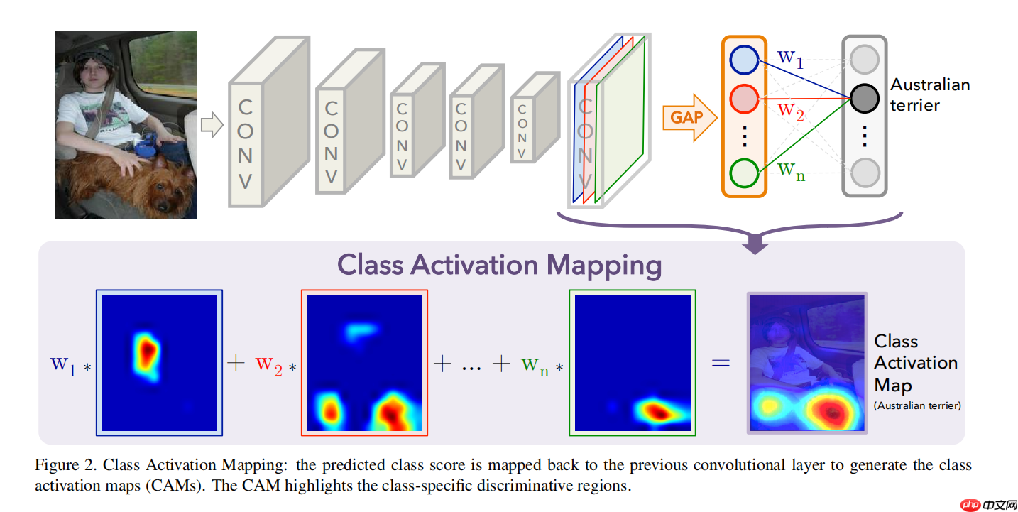 应用体验:肺炎CT图像识别(Grad-CAM) - php中文网
