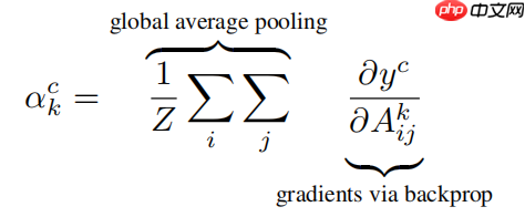 应用体验:肺炎CT图像识别(Grad-CAM) - php中文网
