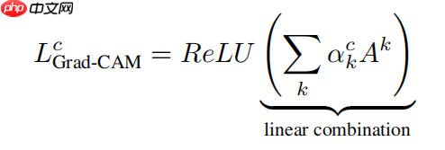 应用体验:肺炎CT图像识别(Grad-CAM) - php中文网
