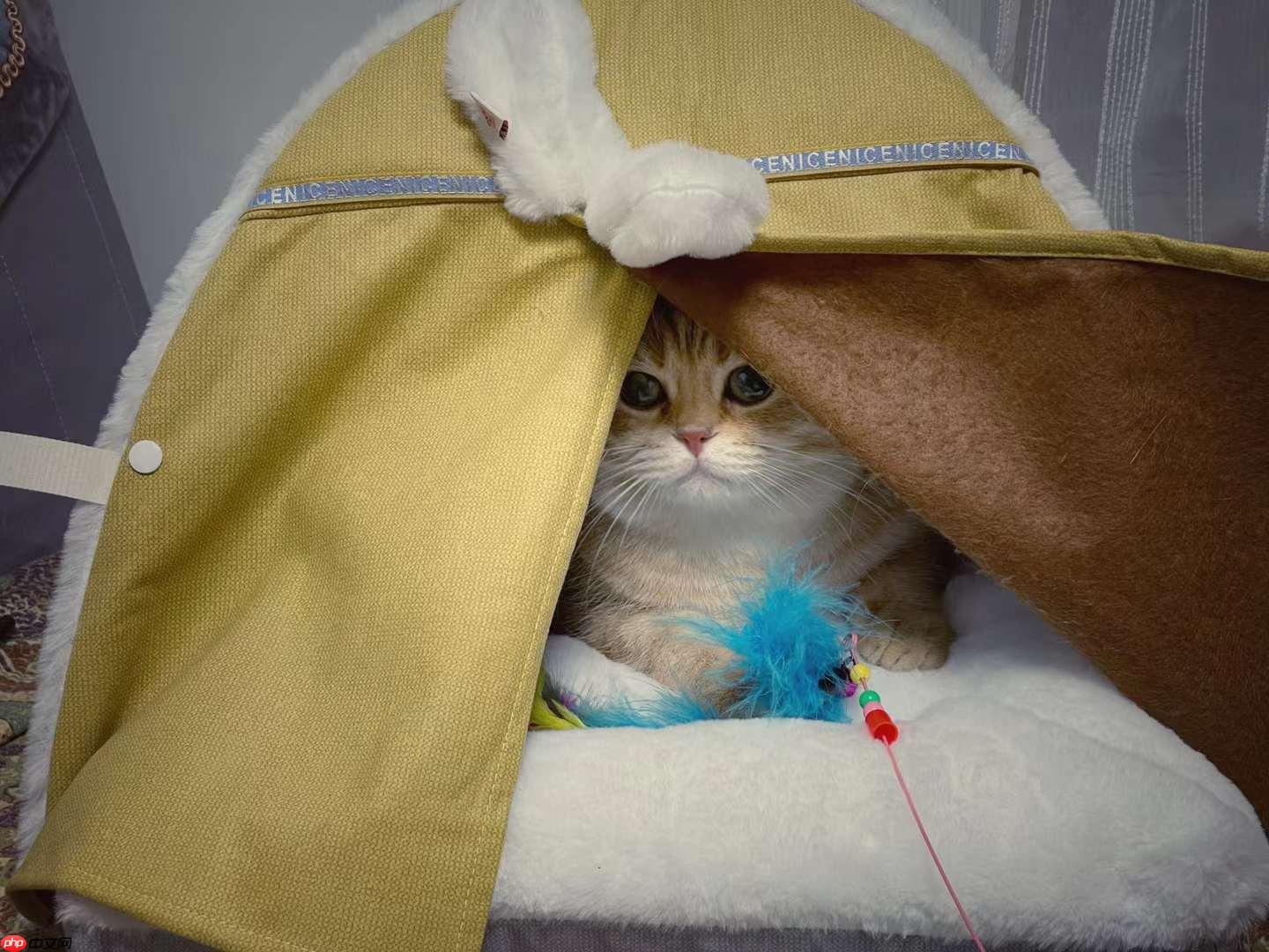 个人实现的反向文心（无需训练的AI看图说话，你不心动？） - php中文网