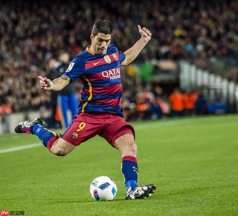 个人实现的反向文心（无需训练的AI看图说话，你不心动？） - php中文网