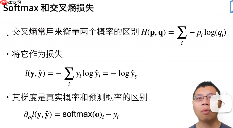 跟着王小美和三岁一起学paddle--图像分类篇！ - php中文网