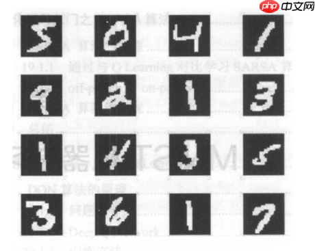 跟着王小美和三岁一起学paddle--图像分类篇！ - php中文网