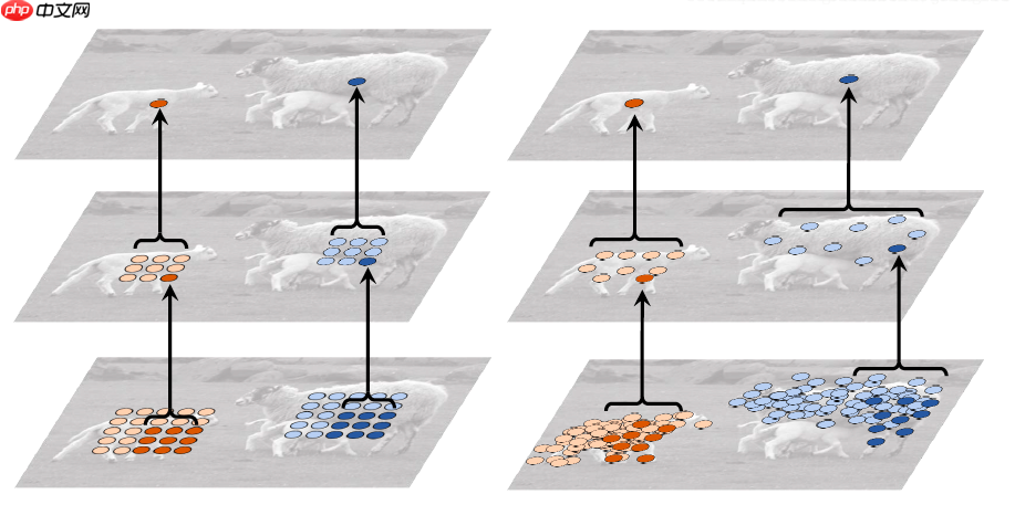 【CNN Tricks 不完全指北】基于飞桨学习CNN各个部分的提升技巧 - php中文网