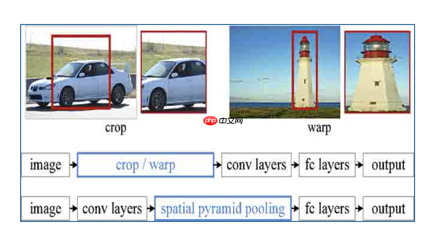 【CNN Tricks 不完全指北】基于飞桨学习CNN各个部分的提升技巧 - php中文网