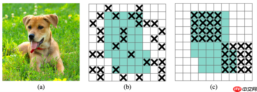 【CNN Tricks 不完全指北】基于飞桨学习CNN各个部分的提升技巧 - php中文网
