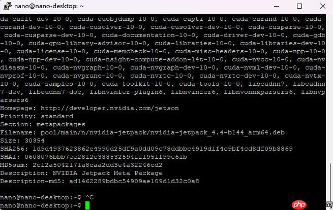 【AI达人创造营第二期】基于jetsonnano部署的手势乐器--模型部署 - php中文网