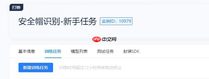 飞桨打比赛:极市计算机视觉开发者榜单大赛——安全帽识别 - php中文网