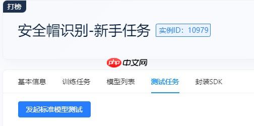 飞桨打比赛:极市计算机视觉开发者榜单大赛——安全帽识别 - php中文网