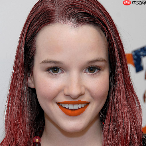 BiSeNet脸部解析，并且可以进行可视化脸部哦 - php中文网