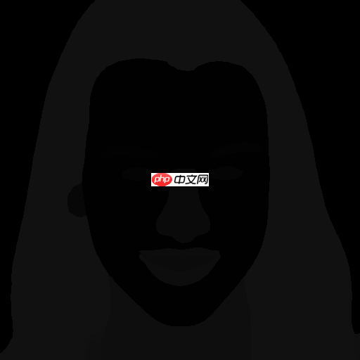 BiSeNet脸部解析，并且可以进行可视化脸部哦 - php中文网