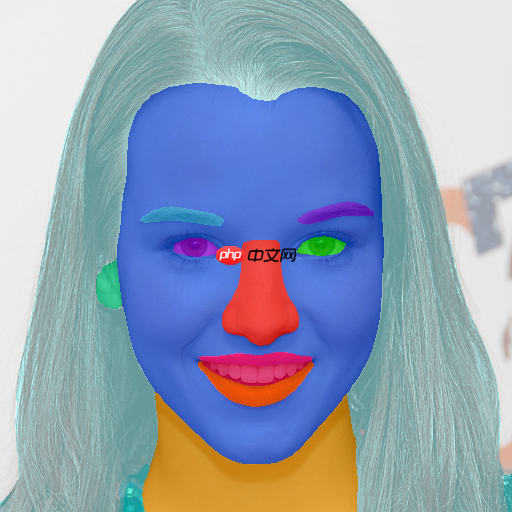 BiSeNet脸部解析，并且可以进行可视化脸部哦 - php中文网