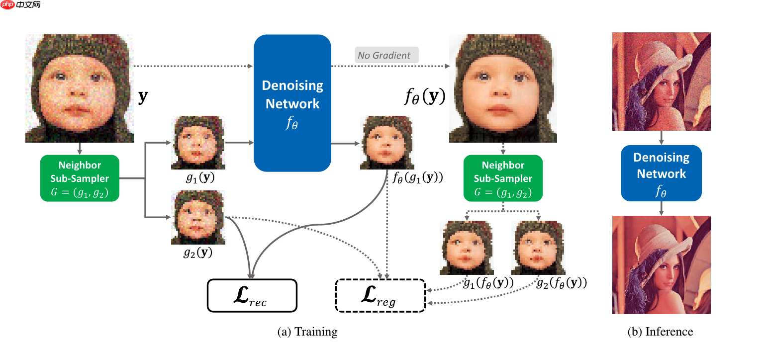 基于Paddle复现Neighbor2Neighbor降噪网络 - php中文网