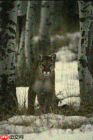 基于Paddle复现Neighbor2Neighbor降噪网络 - php中文网