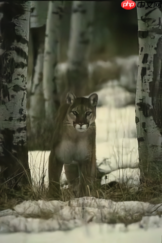 基于Paddle复现Neighbor2Neighbor降噪网络 - php中文网