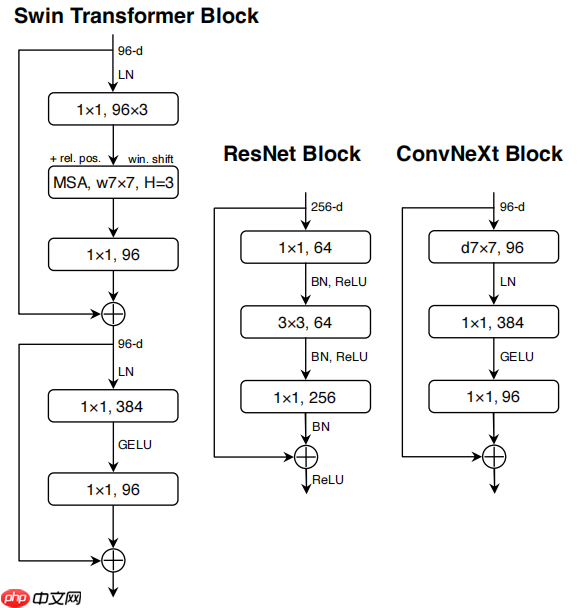 【悉读经典】ConvNext 在PaddleClas、Seg、Det中的应用 - php中文网