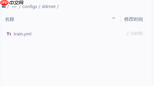 【CVPR2021】DDRNets:高效实时车道分割算法 - php中文网