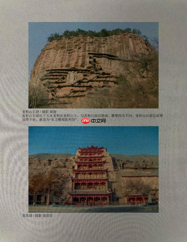 百度网盘AI大赛：文档图像阴影消除参赛方案 AB榜第二名 - php中文网