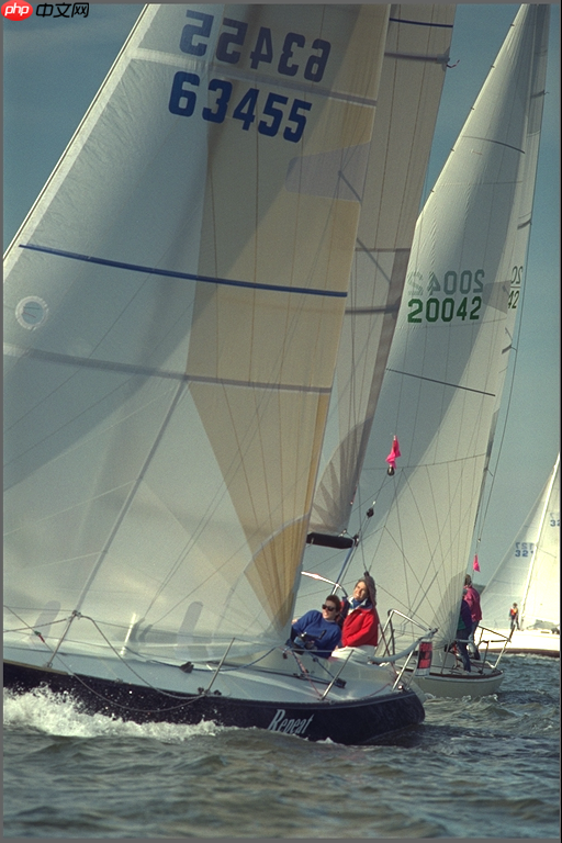 图像质量与相似度评估指标 SSIM 和 MS-SSIM 的 Paddle 实现 - php中文网