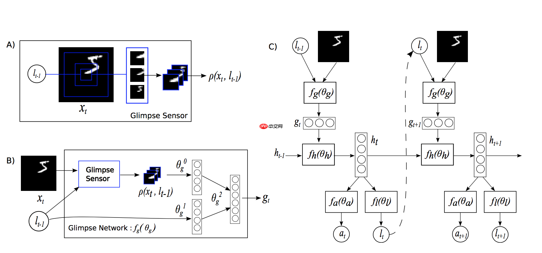 【论文复现-图像分类】基于PaddlePaddle实现RAM - php中文网