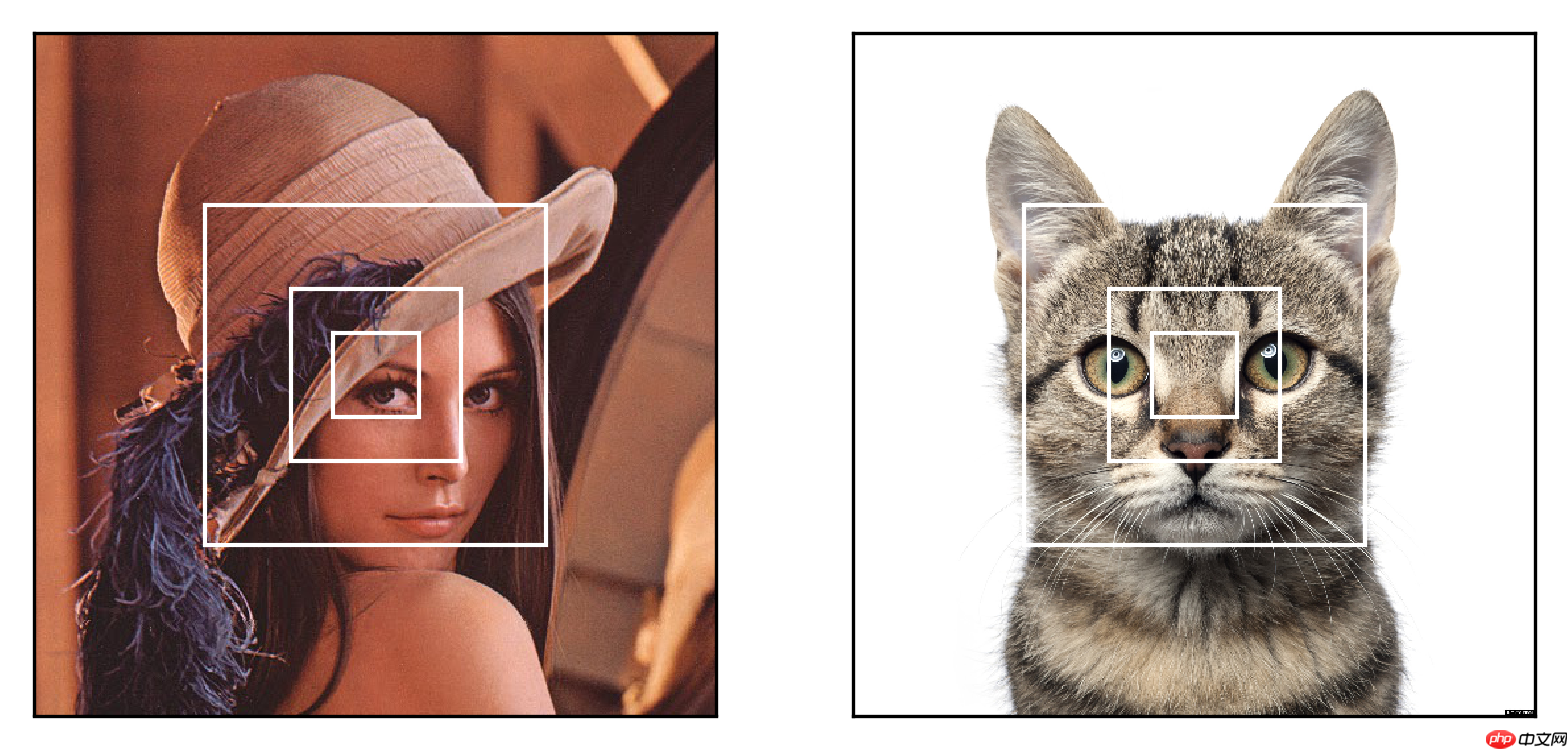 【论文复现-图像分类】基于PaddlePaddle实现RAM - php中文网
