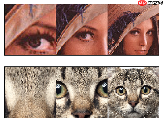 【论文复现-图像分类】基于PaddlePaddle实现RAM - php中文网