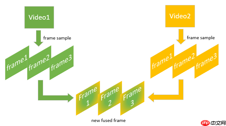 【官方】Paddle2.1实现视频理解优化模型 -- PP-TSN - php中文网