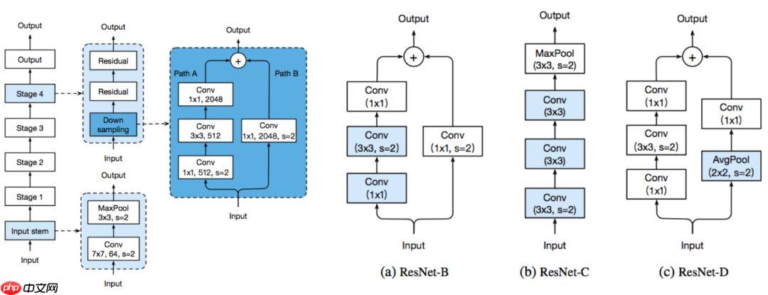 【官方】Paddle2.1实现视频理解优化模型 -- PP-TSN - php中文网