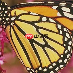 EDSR图像超分重构 - php中文网