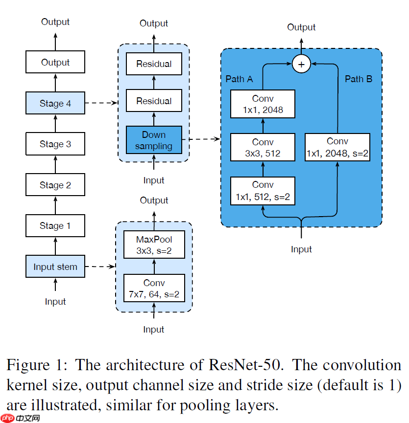 ResNet及BCD版本详解且在眼疾识别中应用实例 - php中文网