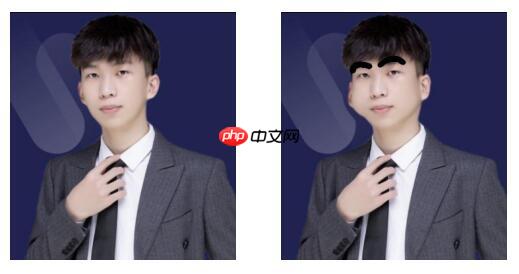 PaddleHub人脸关键点检测：一键生成蜡笔小新的远房表弟 - php中文网